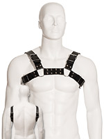 Black Leather Bull Dog Harness