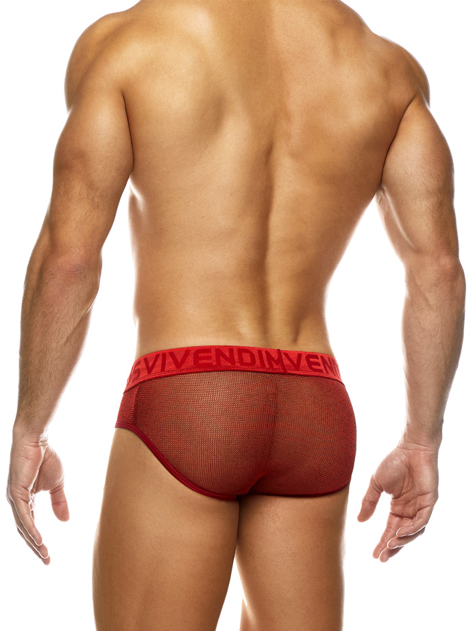 https://www.gayshop69.com/dvds/images/product_images/popup_images/01014-modus-vivendi-armor-classic-brief-red__3.jpg