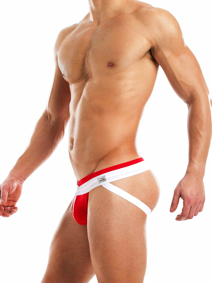 https://www.gayshop69.com/dvds/images/product_images/popup_images/02913-modus-vivendi-zipper-jockstrap-red__2.jpg