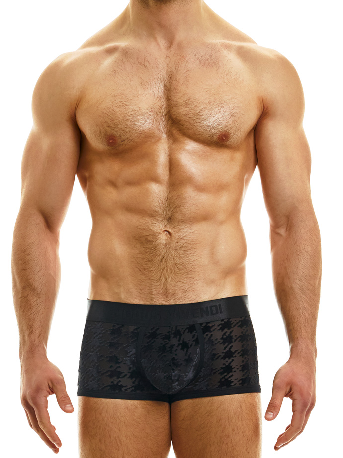 https://www.gayshop69.com/dvds/images/product_images/popup_images/06321-modus-vivendi-pied-depoule-boxer-black__1.jpg