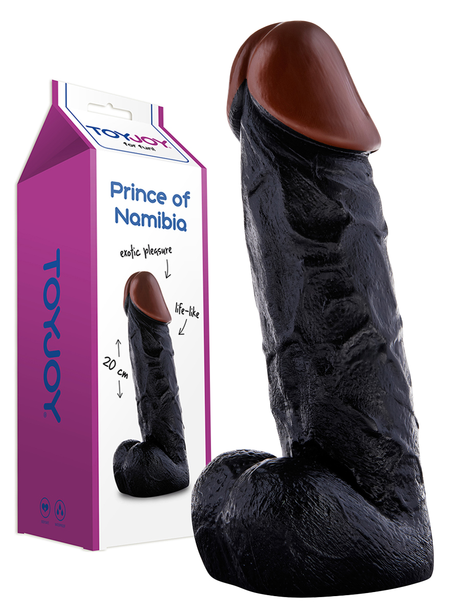 https://www.gayshop69.com/dvds/images/product_images/popup_images/3006009702_prince-of-namibia.jpg