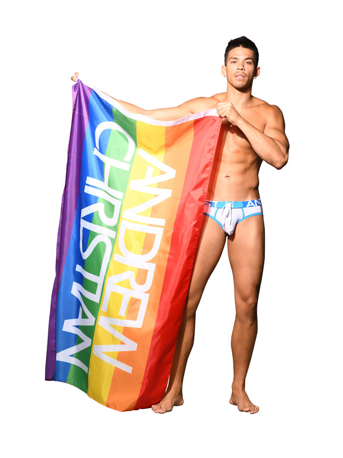 https://www.gayshop69.com/dvds/images/product_images/popup_images/8880-gay-pride-flag__1.jpg