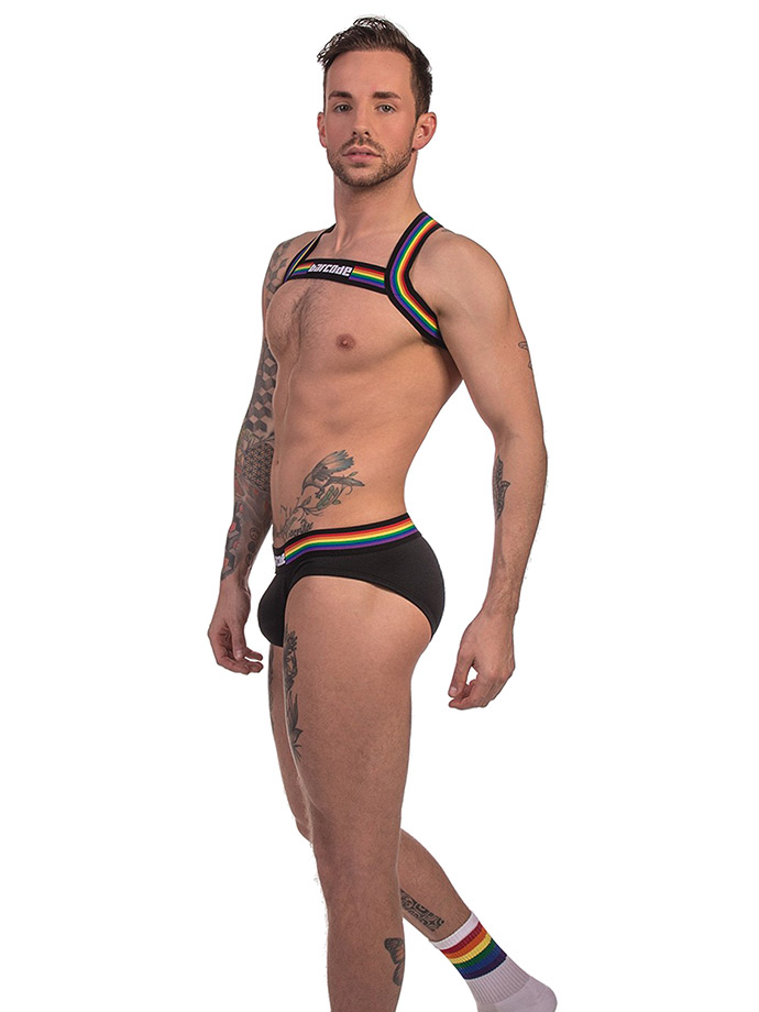 https://www.gayshop69.com/dvds/images/product_images/popup_images/91745-harness-black-pride-barcode-berlin__1.jpg