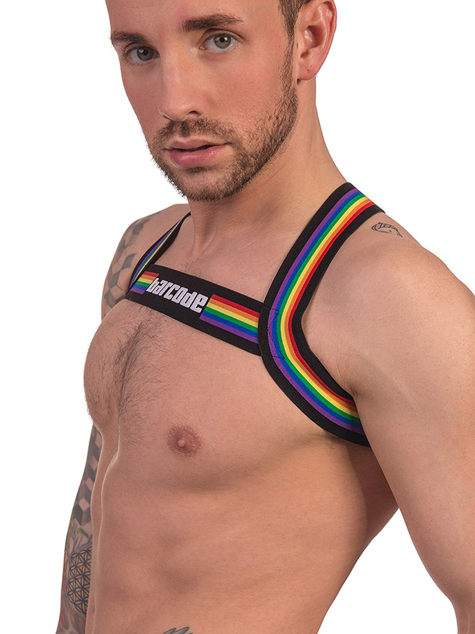https://www.gayshop69.com/dvds/images/product_images/popup_images/91745-harness-black-pride-barcode-berlin__2.jpg