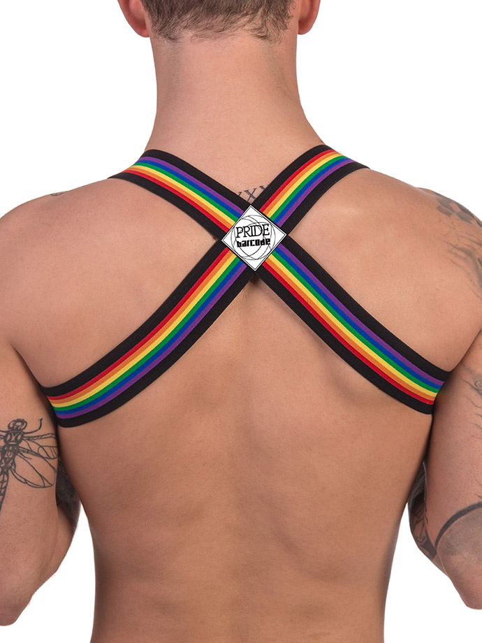 https://www.gayshop69.com/dvds/images/product_images/popup_images/91745-harness-black-pride-barcode-berlin__3.jpg