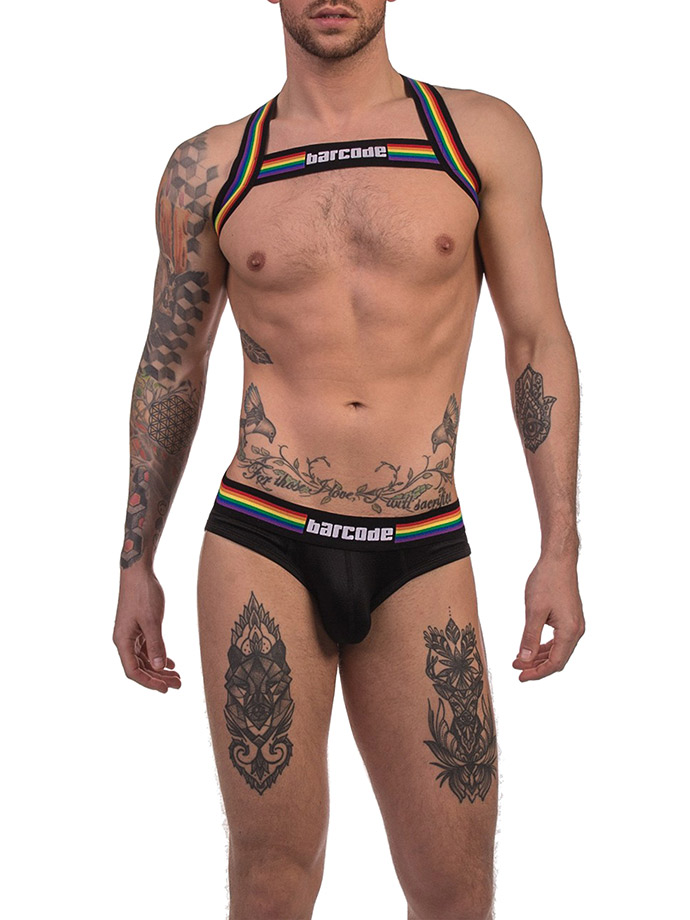 https://www.gayshop69.com/dvds/images/product_images/popup_images/91745-harness-black-pride-barcode-berlin__4.jpg