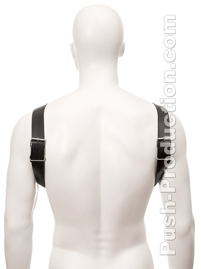 https://www.gayshop69.com/dvds/images/product_images/popup_images/black-bull-dog-harness-leather__1.jpg