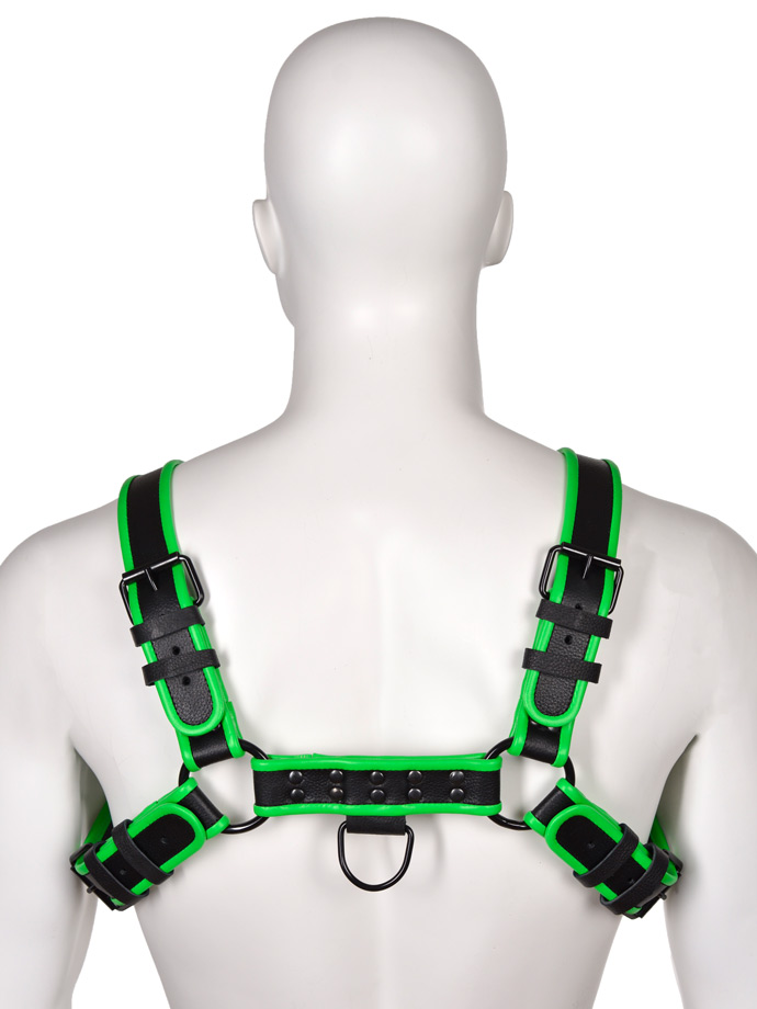 https://www.gayshop69.com/dvds/images/product_images/popup_images/bulldog-leather-harness-black-green-schwarz-gruen-leder__1.jpg