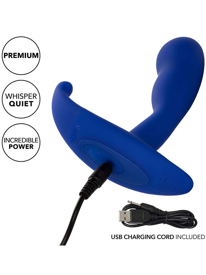 https://www.gayshop69.com/dvds/images/product_images/popup_images/calexotics-admiral-advanced-curved-prostata-probe-silicone__4.jpg