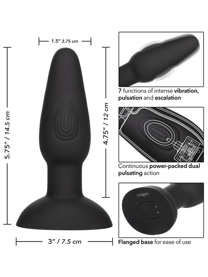 https://www.gayshop69.com/dvds/images/product_images/popup_images/calexotics-bionic-dual-pulsating-anal-vibrating-probe__3.jpg