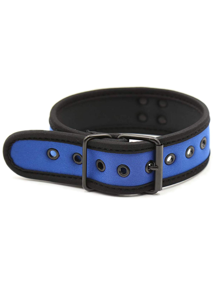 https://www.gayshop69.com/dvds/images/product_images/popup_images/collar-neopren-pupplay-puppy-choker-costume-blue__2.jpg