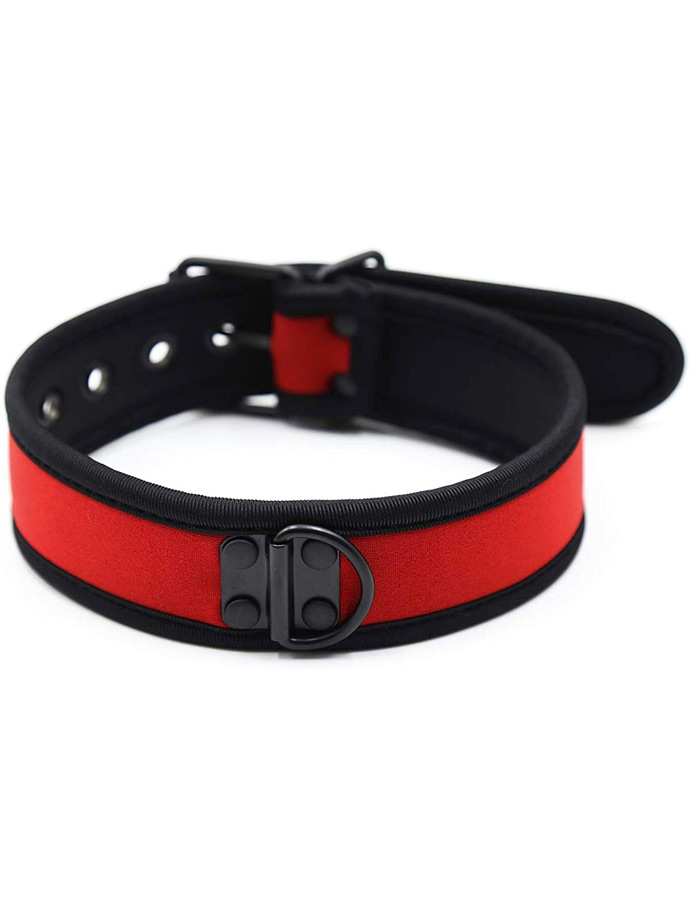https://www.gayshop69.com/dvds/images/product_images/popup_images/collar-neopren-pupplay-puppy-choker-costume-red__1.jpg
