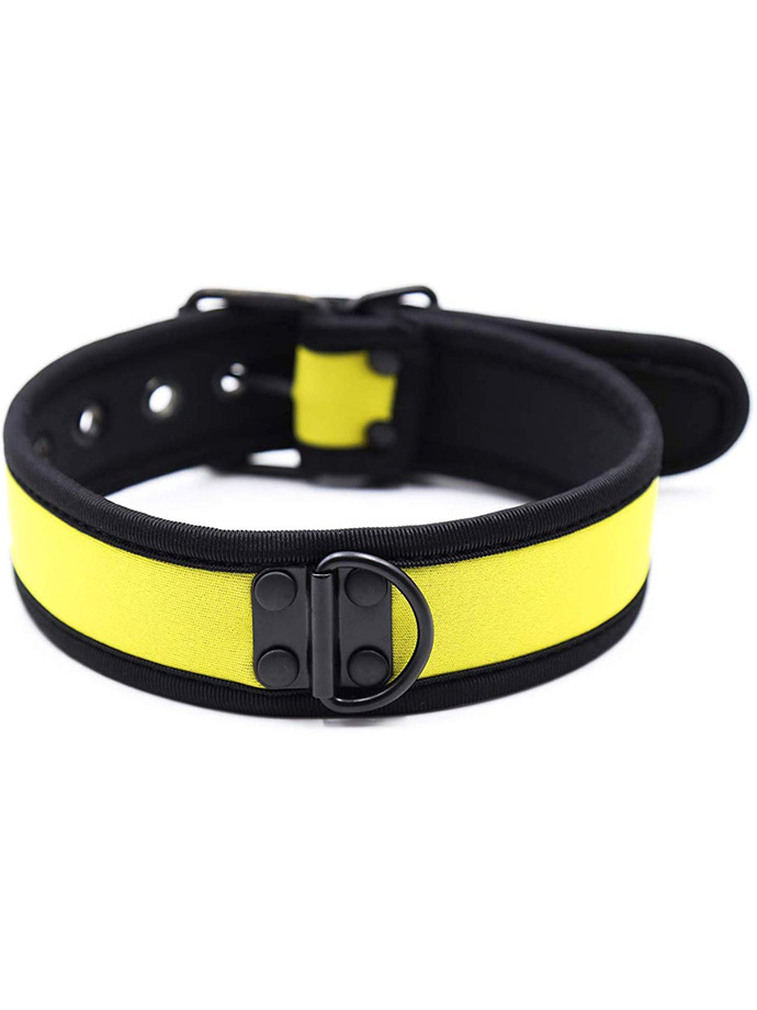https://www.gayshop69.com/dvds/images/product_images/popup_images/collar-neopren-pupplay-puppy-choker-costume-yellow__1.jpg