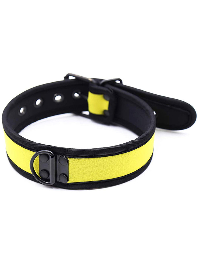 https://www.gayshop69.com/dvds/images/product_images/popup_images/collar-neopren-pupplay-puppy-choker-costume-yellow__2.jpg
