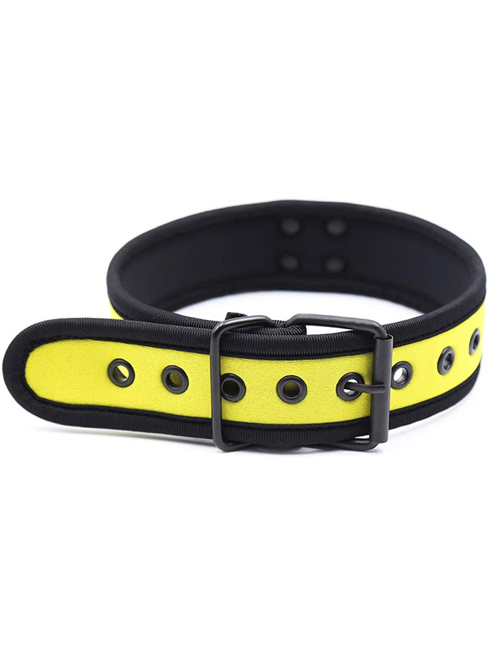 https://www.gayshop69.com/dvds/images/product_images/popup_images/collar-neopren-pupplay-puppy-choker-costume-yellow__3.jpg