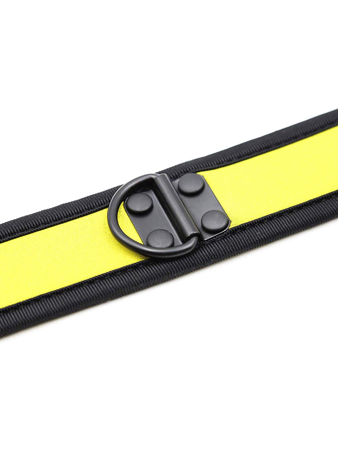 https://www.gayshop69.com/dvds/images/product_images/popup_images/collar-neopren-pupplay-puppy-choker-costume-yellow__4.jpg
