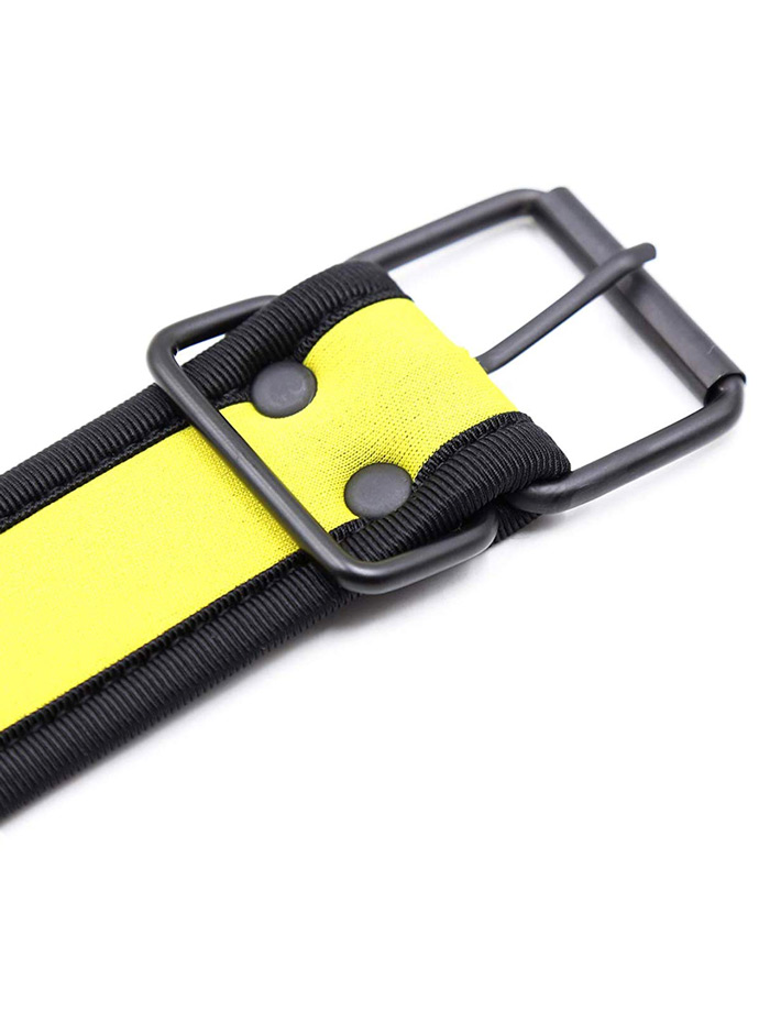 https://www.gayshop69.com/dvds/images/product_images/popup_images/collar-neopren-pupplay-puppy-choker-costume-yellow__5.jpg