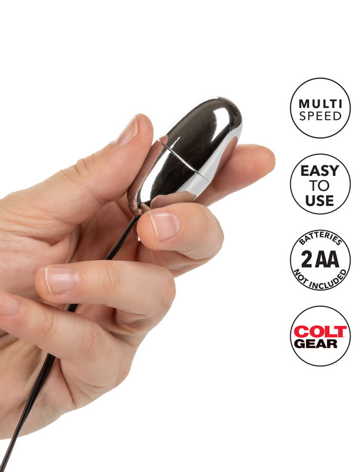 https://www.gayshop69.com/dvds/images/product_images/popup_images/colt-multi-speed-power-pak-bullet__2.jpg