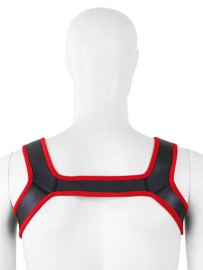 https://www.gayshop69.com/dvds/images/product_images/popup_images/harness-neoprene-shoulder-strap-chest-belt-black-red__2.jpg