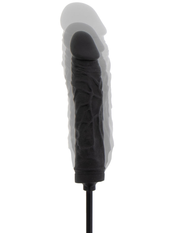 https://www.gayshop69.com/dvds/images/product_images/popup_images/hidden-desire-inflatable-dong-advanced__3.jpg