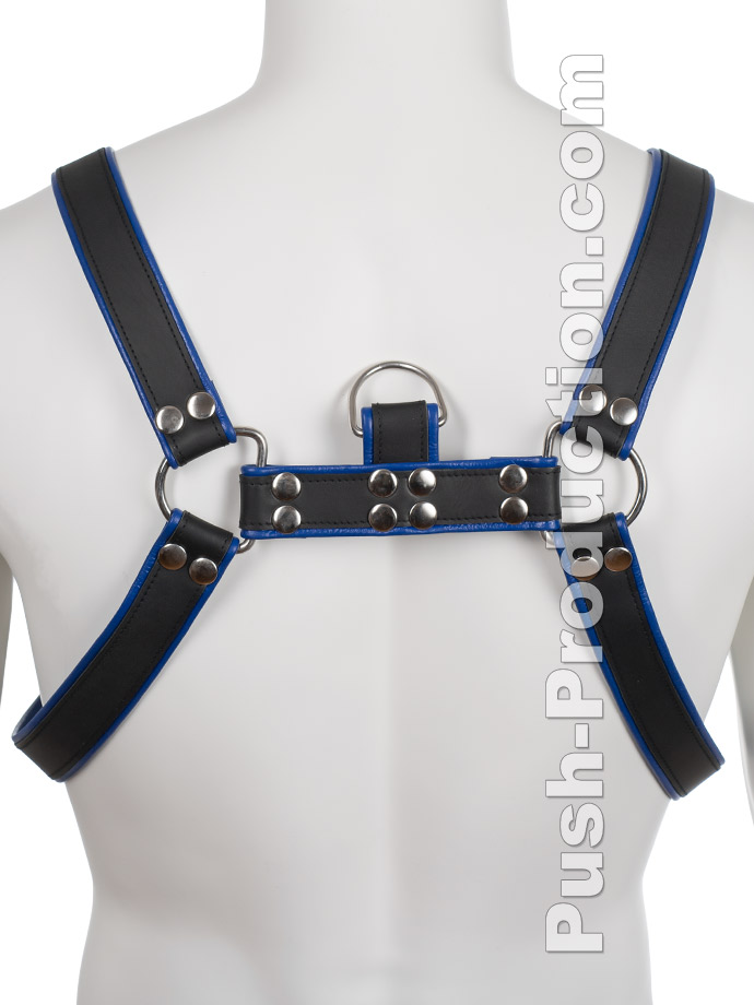 https://www.gayshop69.com/dvds/images/product_images/popup_images/leather-bdsm-top-harness-d-rings-blue__2.jpg