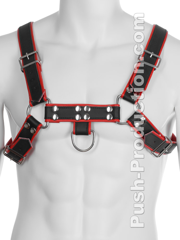 https://www.gayshop69.com/dvds/images/product_images/popup_images/leather-bdsm-top-harness-d-rings-red__1.jpg
