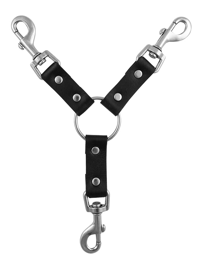 Y-Style Leather Bondage Straps