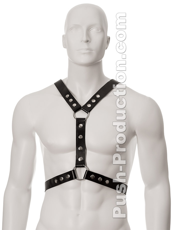 https://www.gayshop69.com/dvds/images/product_images/popup_images/leather-harness-black-metal-studs-two-rings-9206__1.jpg