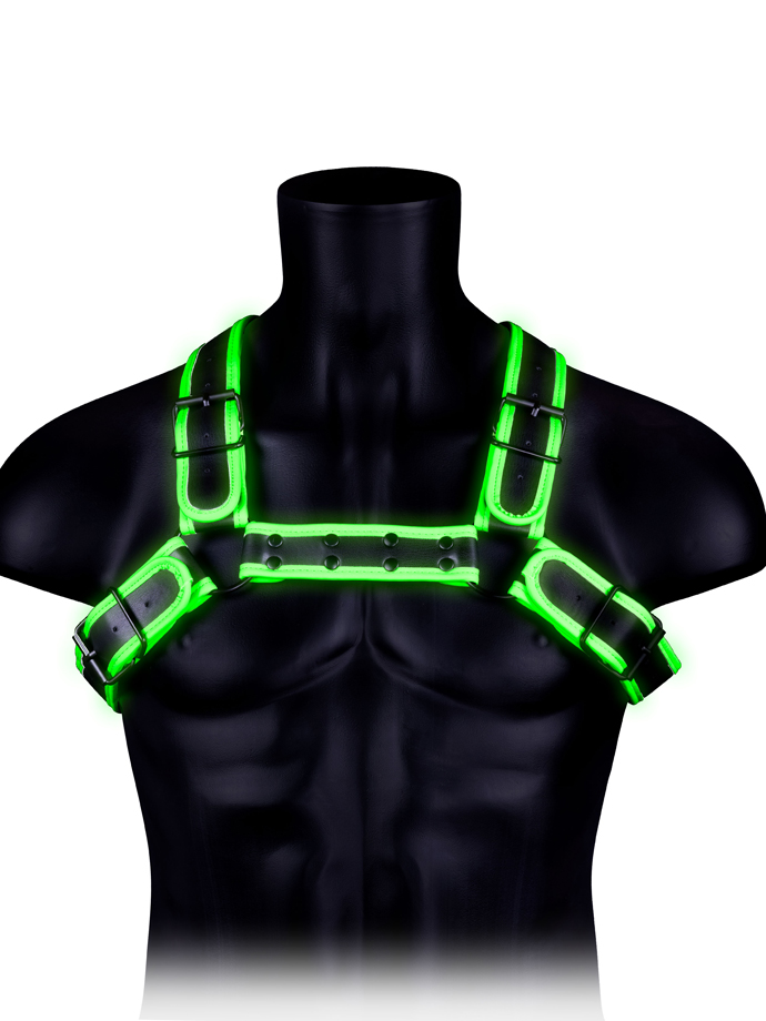 https://www.gayshop69.com/dvds/images/product_images/popup_images/ouch-buckle-bulldog-harness-glow-in-the-dark__1.jpg