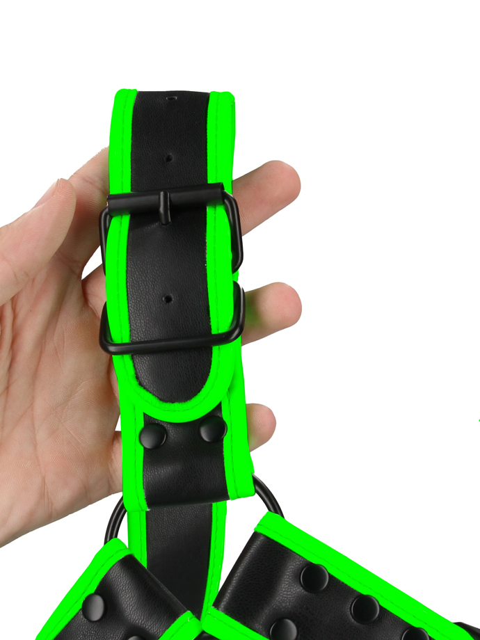 https://www.gayshop69.com/dvds/images/product_images/popup_images/ouch-buckle-bulldog-harness-glow-in-the-dark__3.jpg