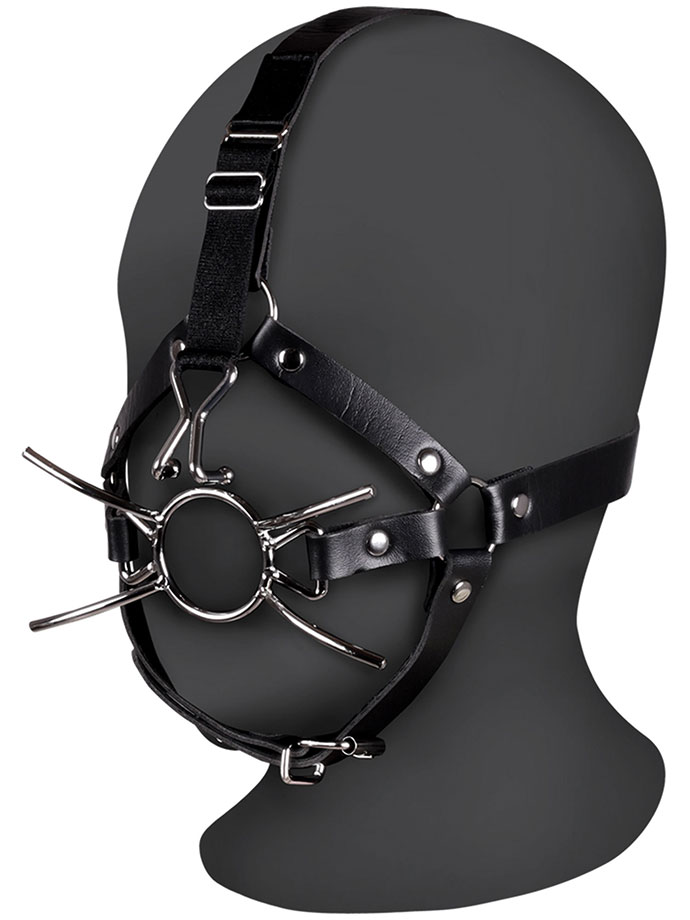 https://www.gayshop69.com/dvds/images/product_images/popup_images/ouch-xtreme-head-harness-spider-gag-nose-hooks__1.jpg