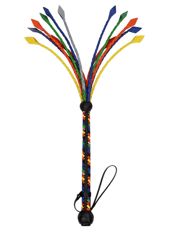 https://www.gayshop69.com/dvds/images/product_images/popup_images/rainbow-whip__1.jpg