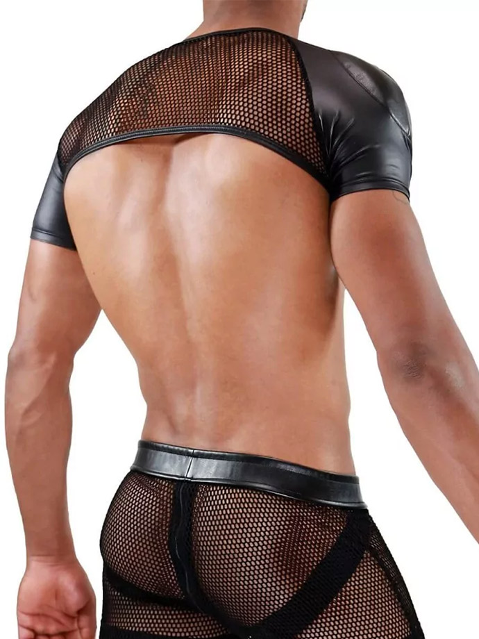 https://www.gayshop69.com/dvds/images/product_images/popup_images/spartacus-full-harness__2.jpg