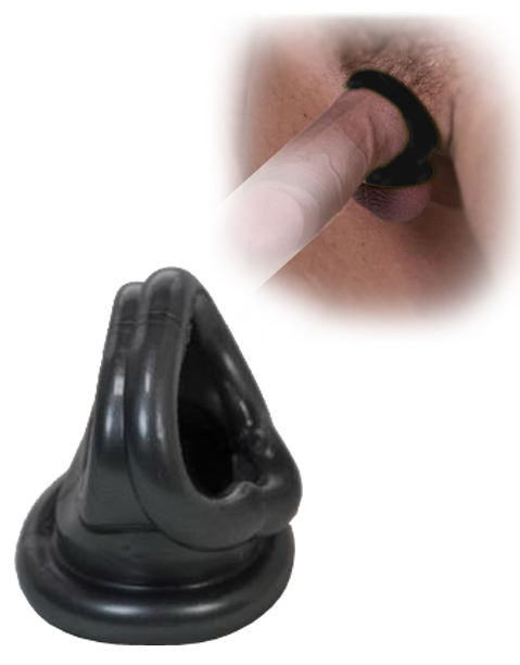 Sport Fucker Cock Harness - Black