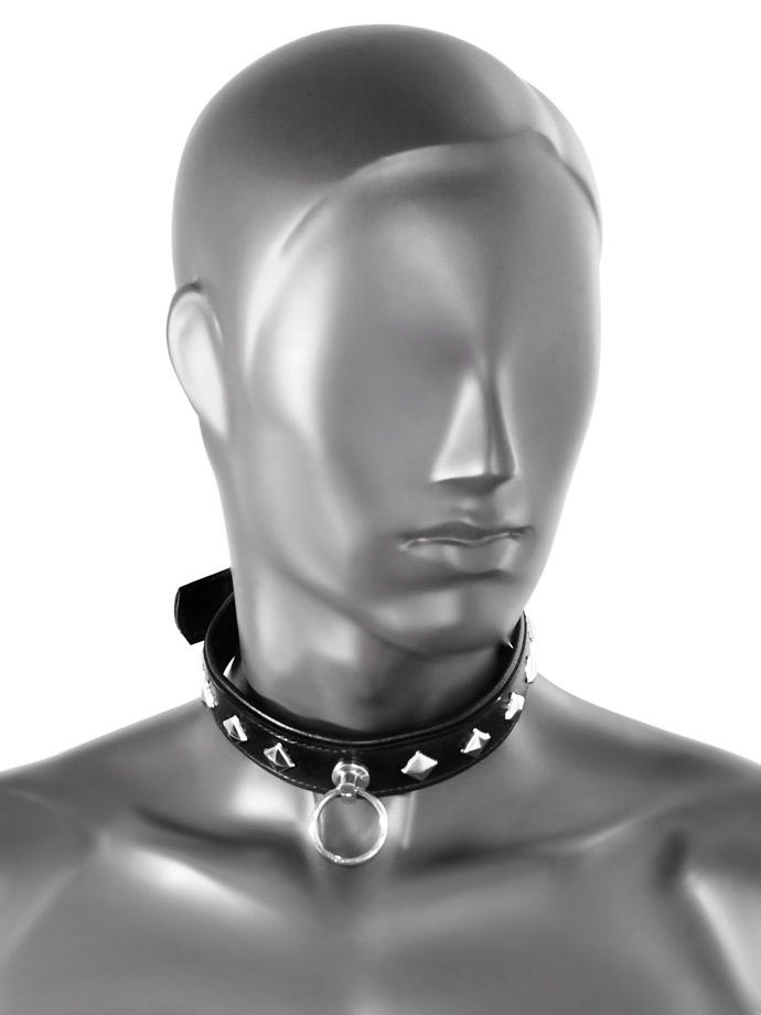 https://www.gayshop69.com/dvds/images/product_images/popup_images/tci-9768-bitch-collar-with-ring__1.jpg