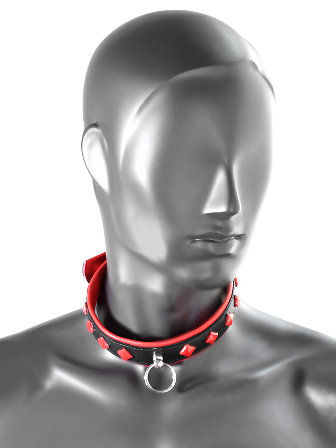 https://www.gayshop69.com/dvds/images/product_images/popup_images/tci-9768-collar-back-red__1.jpg
