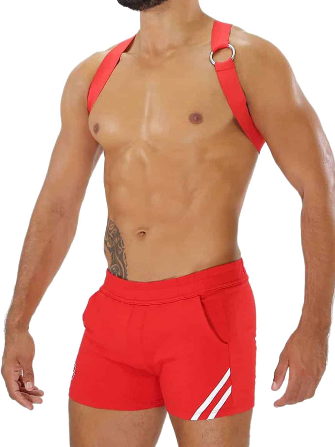 https://www.gayshop69.com/dvds/images/product_images/popup_images/tof-paris-party-boy-elastic-harness-red__2.jpg