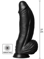 Extreme Vibrator Demon