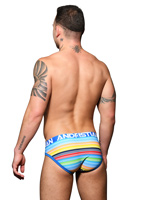Avalon Stripe Brief Almost Naked - Multi
