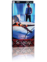Scandal Over the Bed Cross
