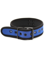 Puppy Play Neopren Halsband - Blau