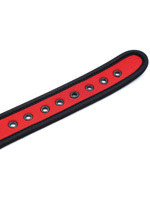 Puppy Play Neoprene Collar - Red