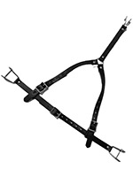 Mouth Gag with Nose Hook